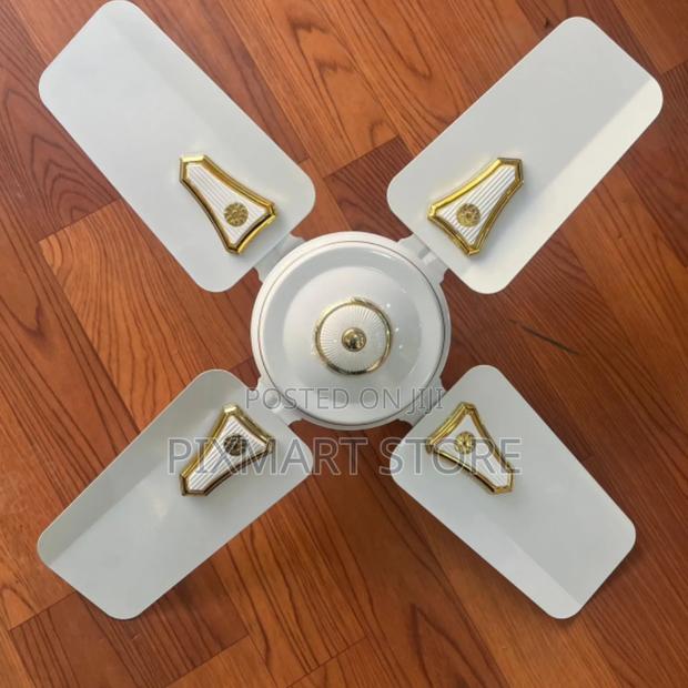 Roch Small 24-Inch Energy-Efficient Ceiling Fan