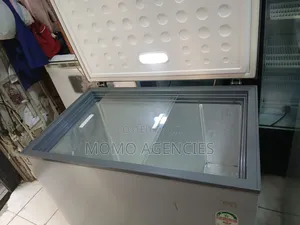 Clean Chest Freezer 251l