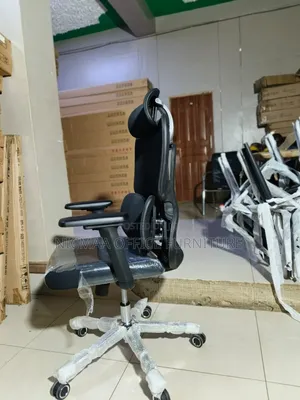 Flexelite Pro Double Waist Ergonomic Chair
