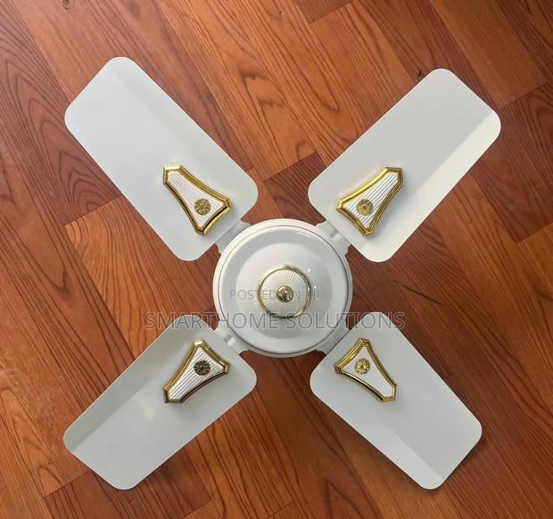 Roch 24 Inches Ceiling Fan - main view
