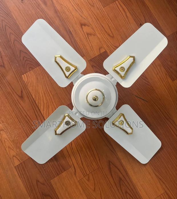 Roch 24inches Ceiling Fan - main view