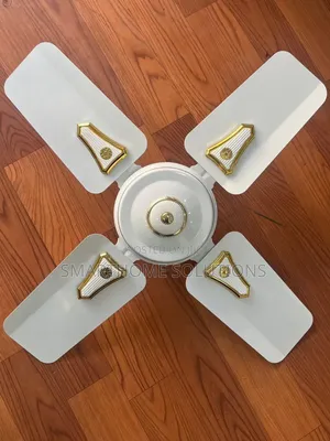 Ceiling Fan 24 Inches(Roch)