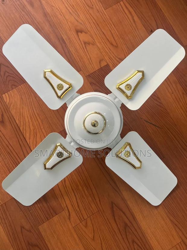Ceiling Fan 24 Inches(Roch) - main view