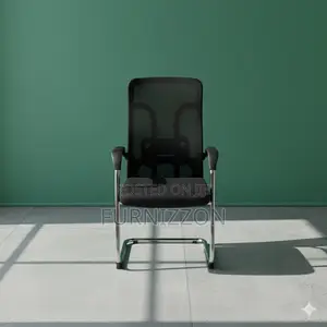 Professional Black Mesh Ergonomic Sled Base Office Chair