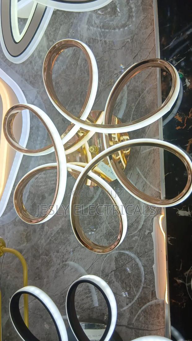 Intertwined Ceiling Light