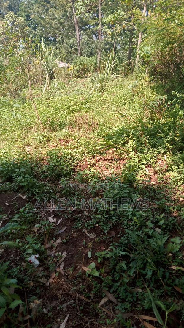 50 by 100 Plot - main view