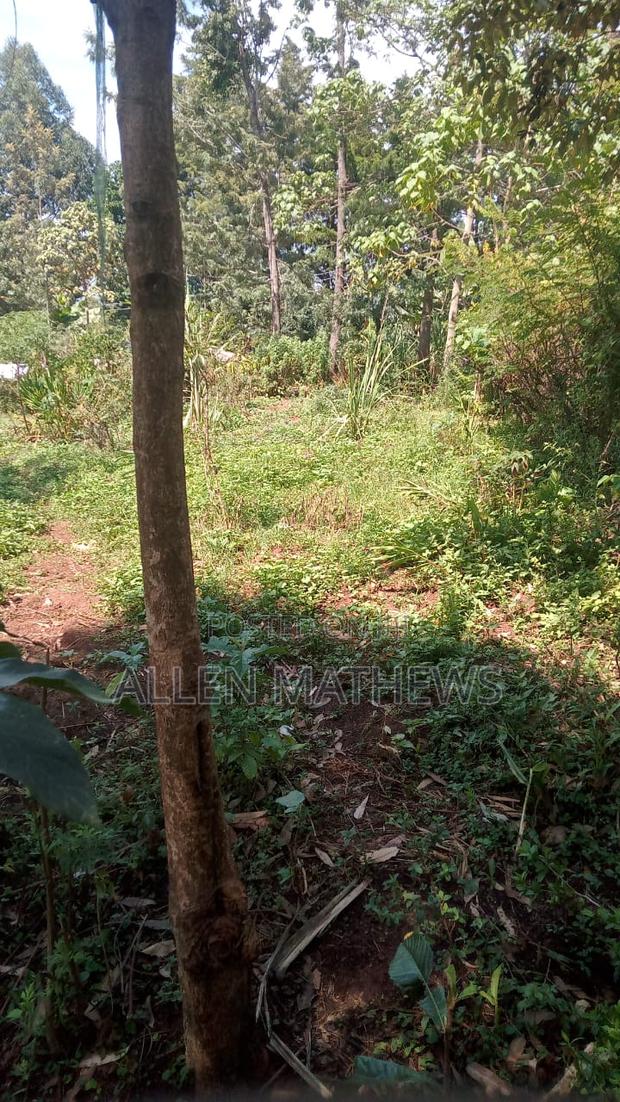 50 by 100 Plot - thumbnail 3