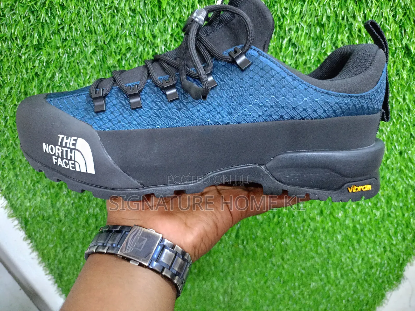 The Northface Shoes