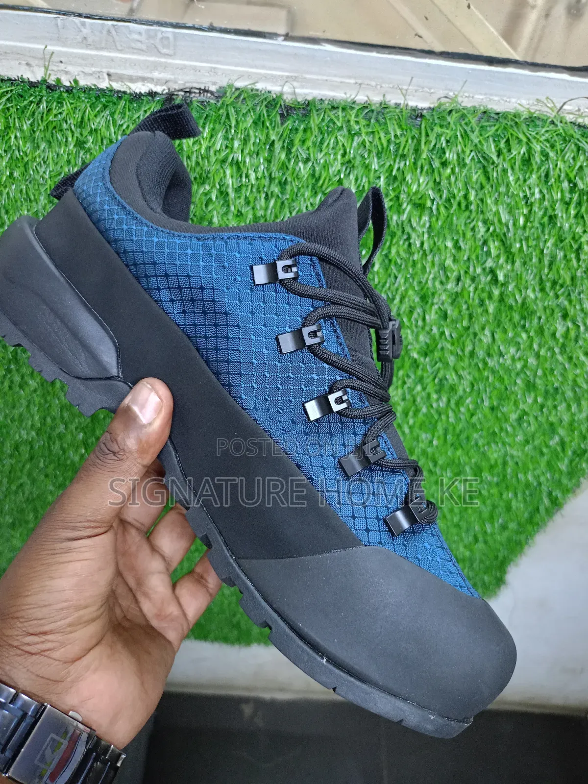 The Northface Shoes