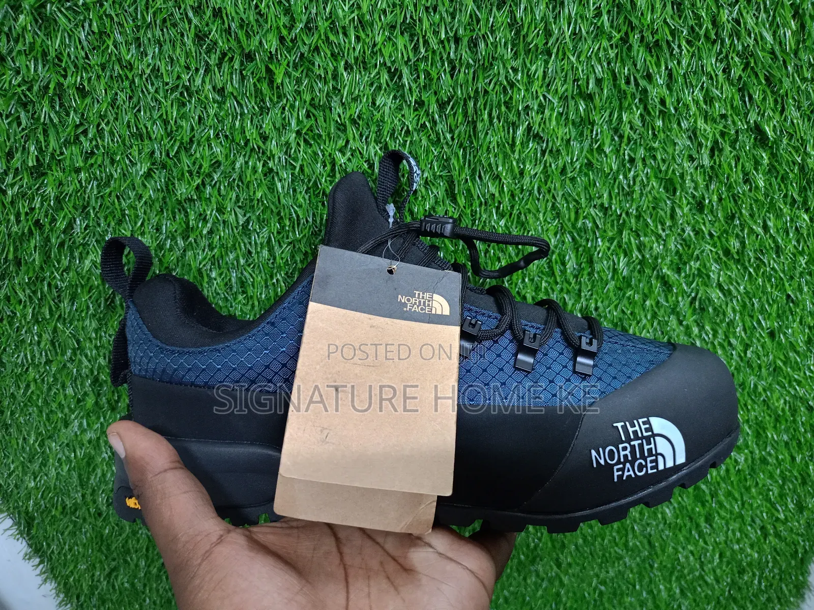 The Northface Shoes