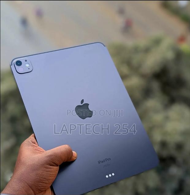 New Apple iPad Pro 11 (2024) 256 GB Gray - main view