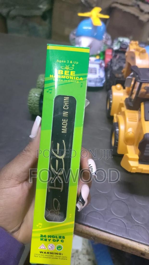 24-Holes Key C Harmonica for Beginners - thumbnail 3