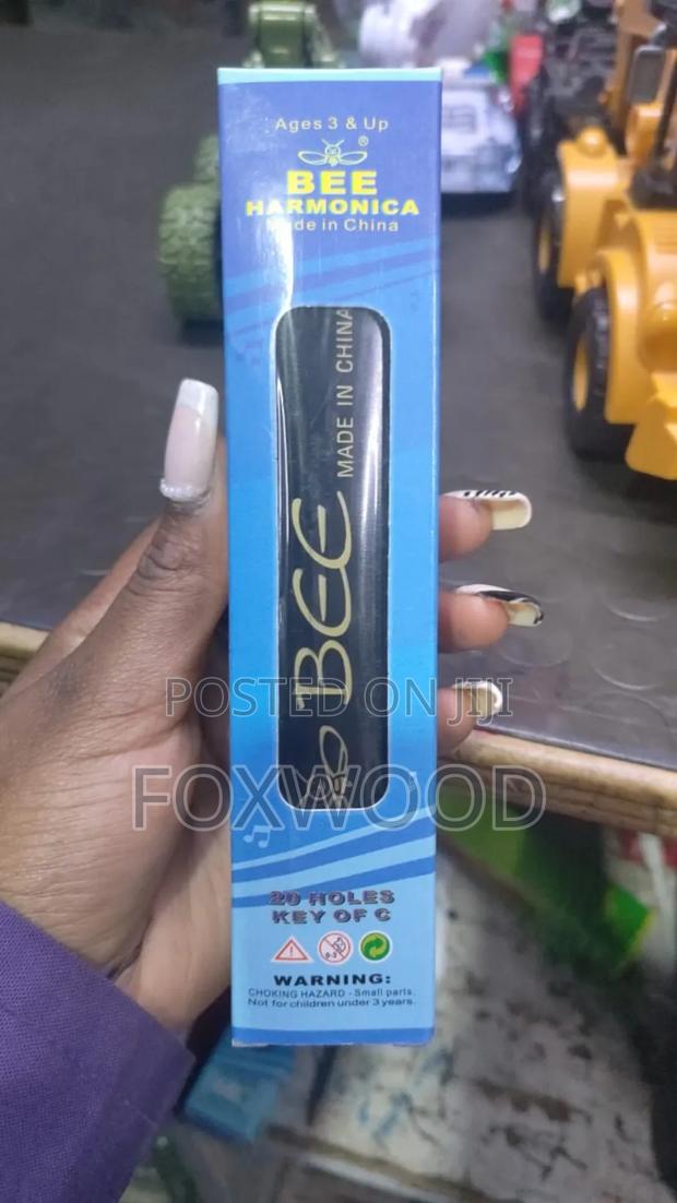 24-Holes Key C Harmonica for Beginners - thumbnail 4