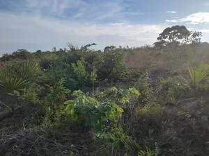 Prime Plot With Breathtaking Views
