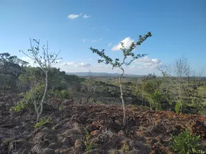 Prime Plot With Breathtaking Views