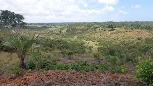 Prime Plot With Breathtaking Views