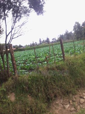 70 by 100 Plot Gitithia - thumbnail 2