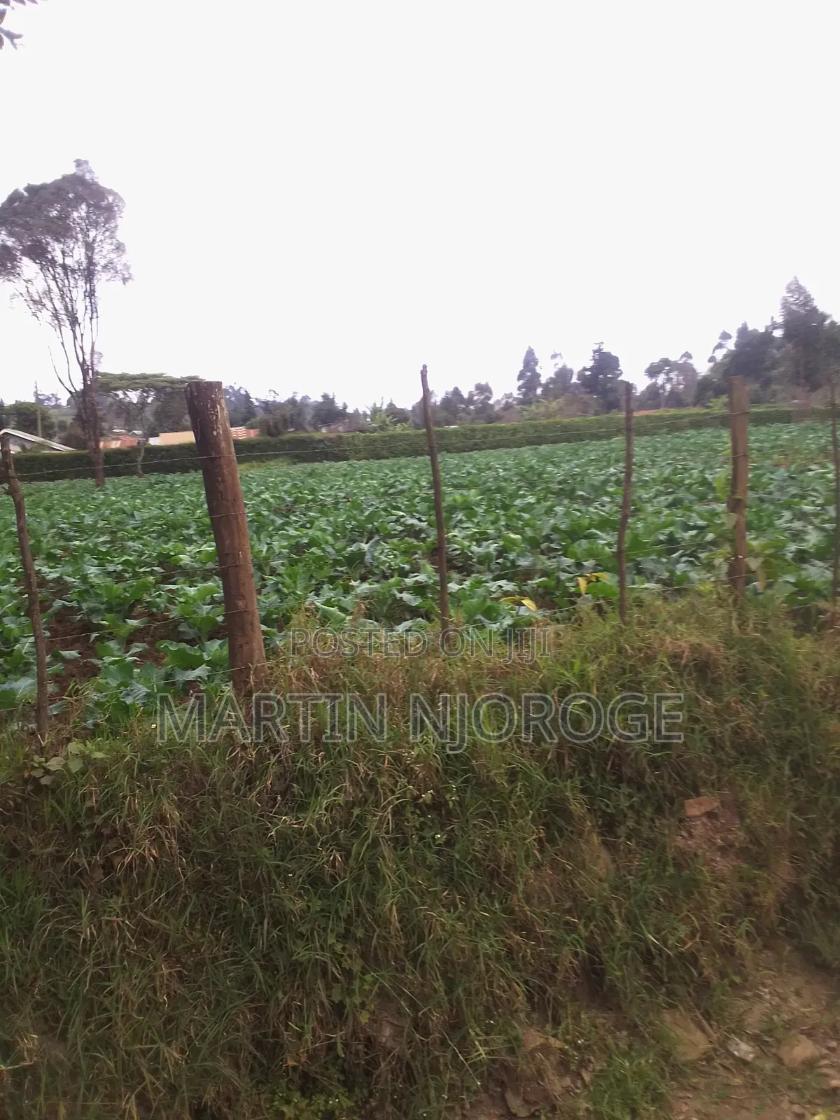 70 by 100 Plot Gitithia