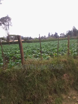 70 by 100 Plot Gitithia