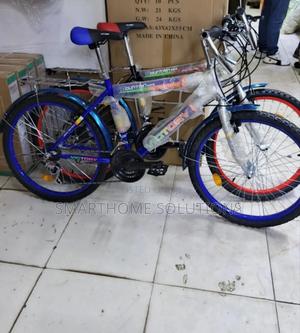 Size 24 Inches Victory Bicycle With Gear - main view