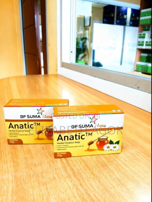 Anatic Soap - main view