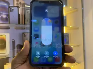 Apple iPhone 11 Pro Max 256 GB Blue