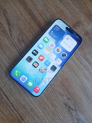 Apple iPhone 15 Pro Max 256 GB Gray - main view