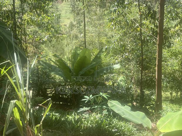 3 Bedroom Bungalow in 0.65 Acres in Kandara. - thumbnail 6