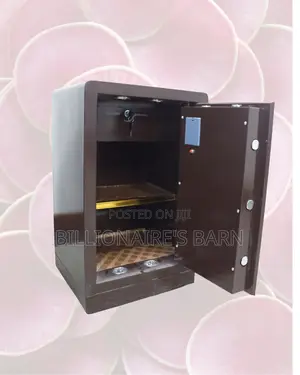 70kg Biometric Safe Box | Extra Safety With Alarm Triggers | Dual