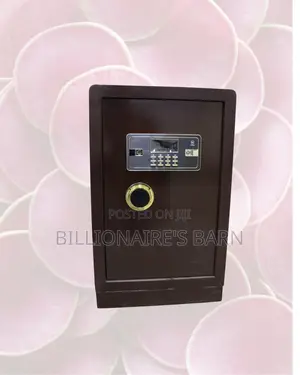 70kg Biometric Safe Box | Extra Safety With Alarm Triggers | Dual