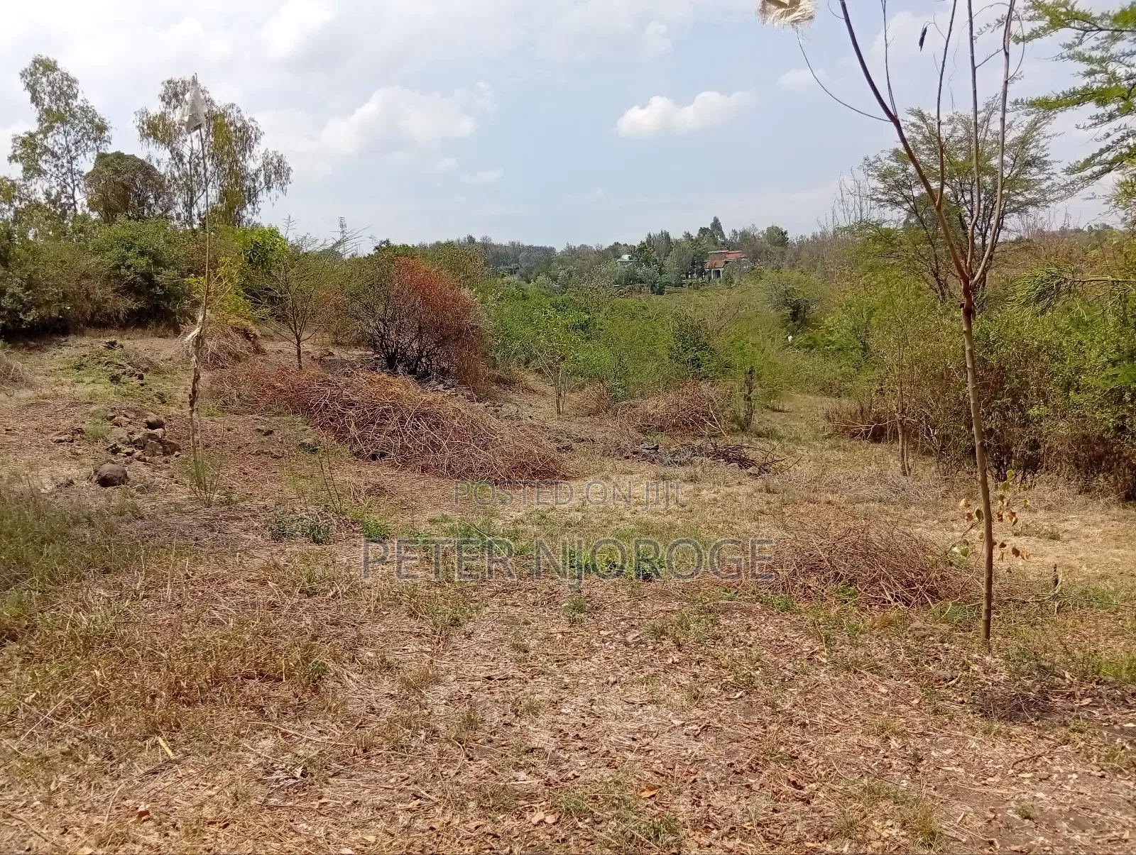 A 50 by 100 Plot on Sale