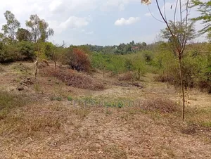 A 50 by 100 Plot on Sale