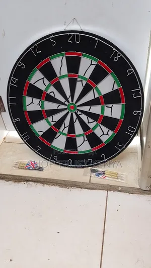 Professional Dart Board
