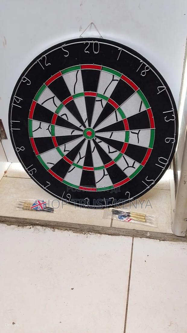 Professional Dart Board - main view