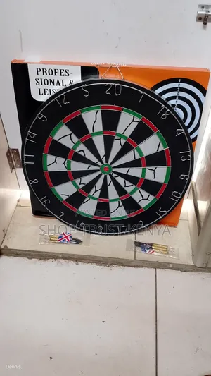 Professional Dart Board