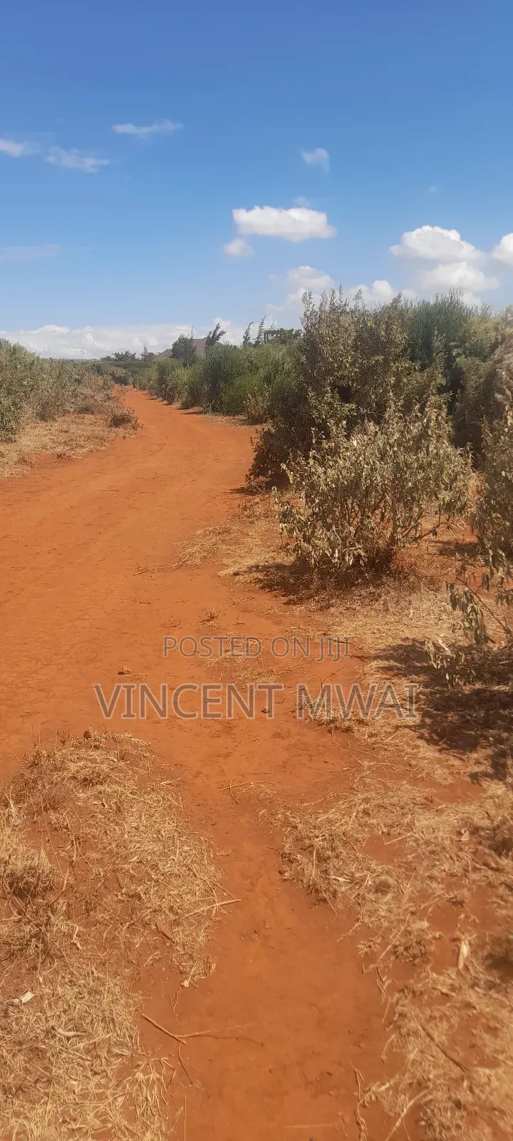 1/4 Acre Ngong Olmaroroi