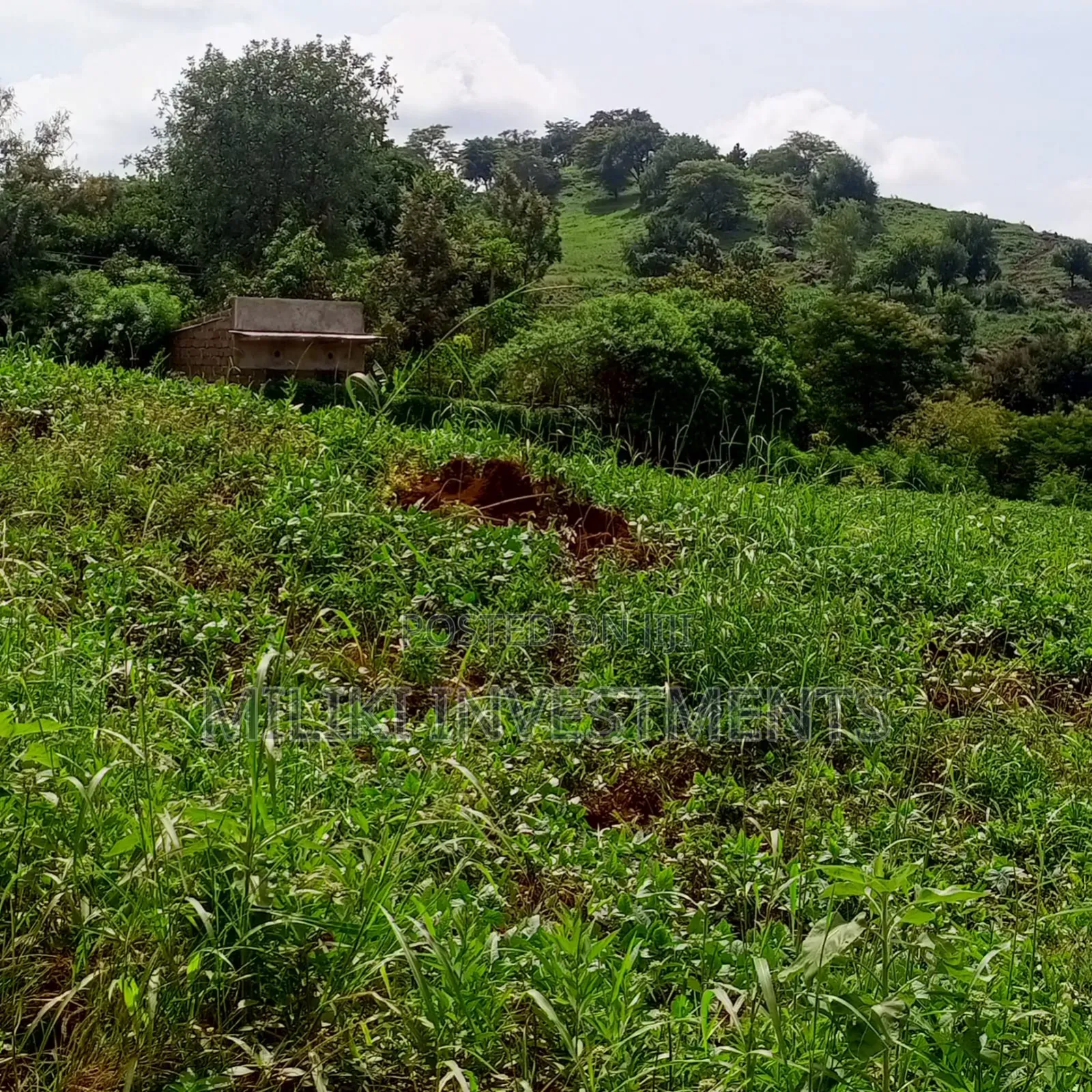 10 Acres for Sale at Meru-Nkubu-Mitunguu