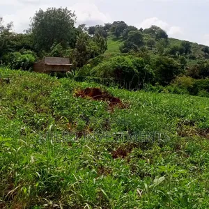 10 Acres for Sale at Meru-Nkubu-Mitunguu