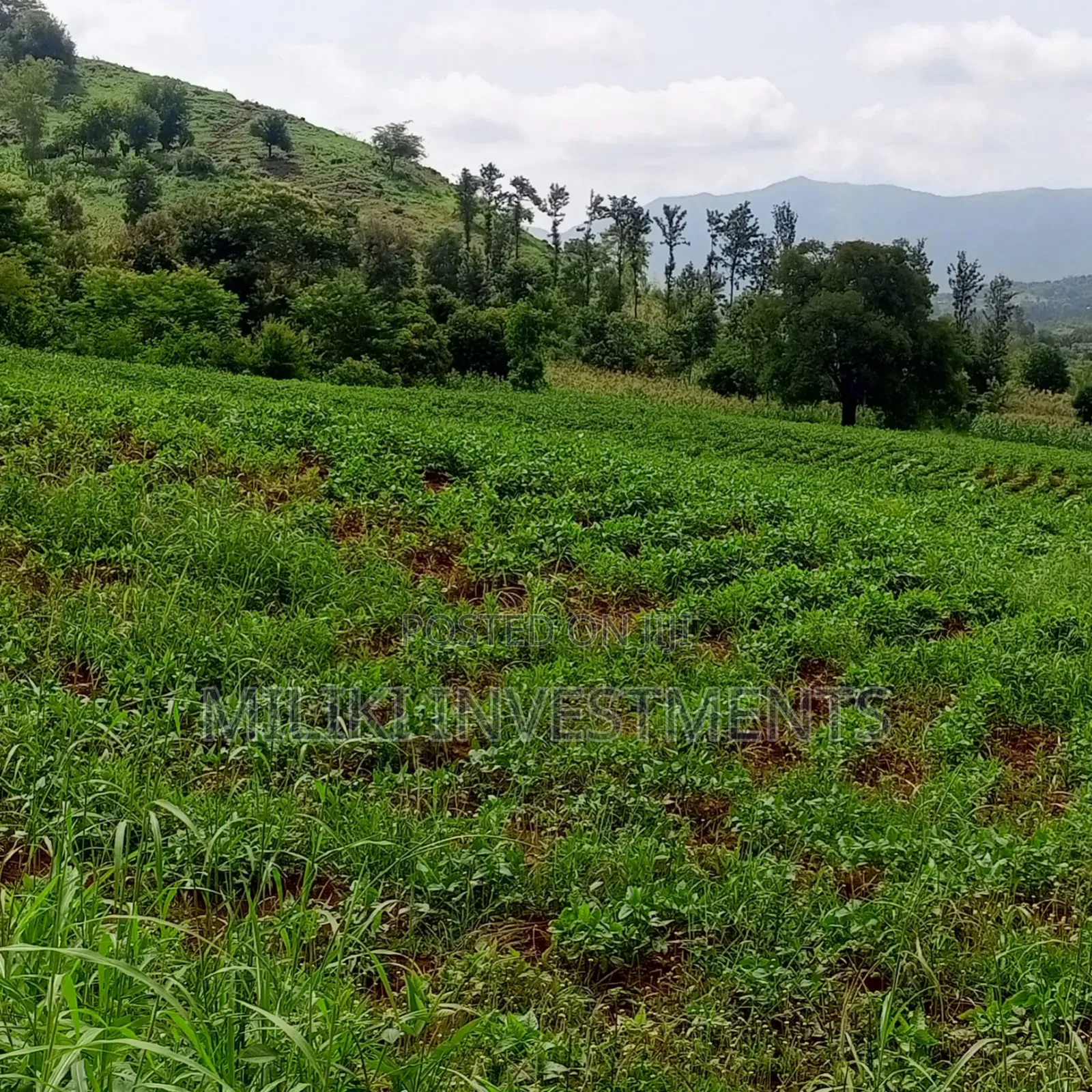 10 Acres for Sale at Meru-Nkubu-Mitunguu