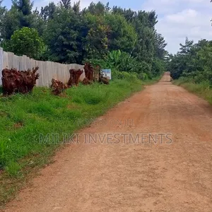 10 Acres for Sale at Meru-Nkubu-Mitunguu
