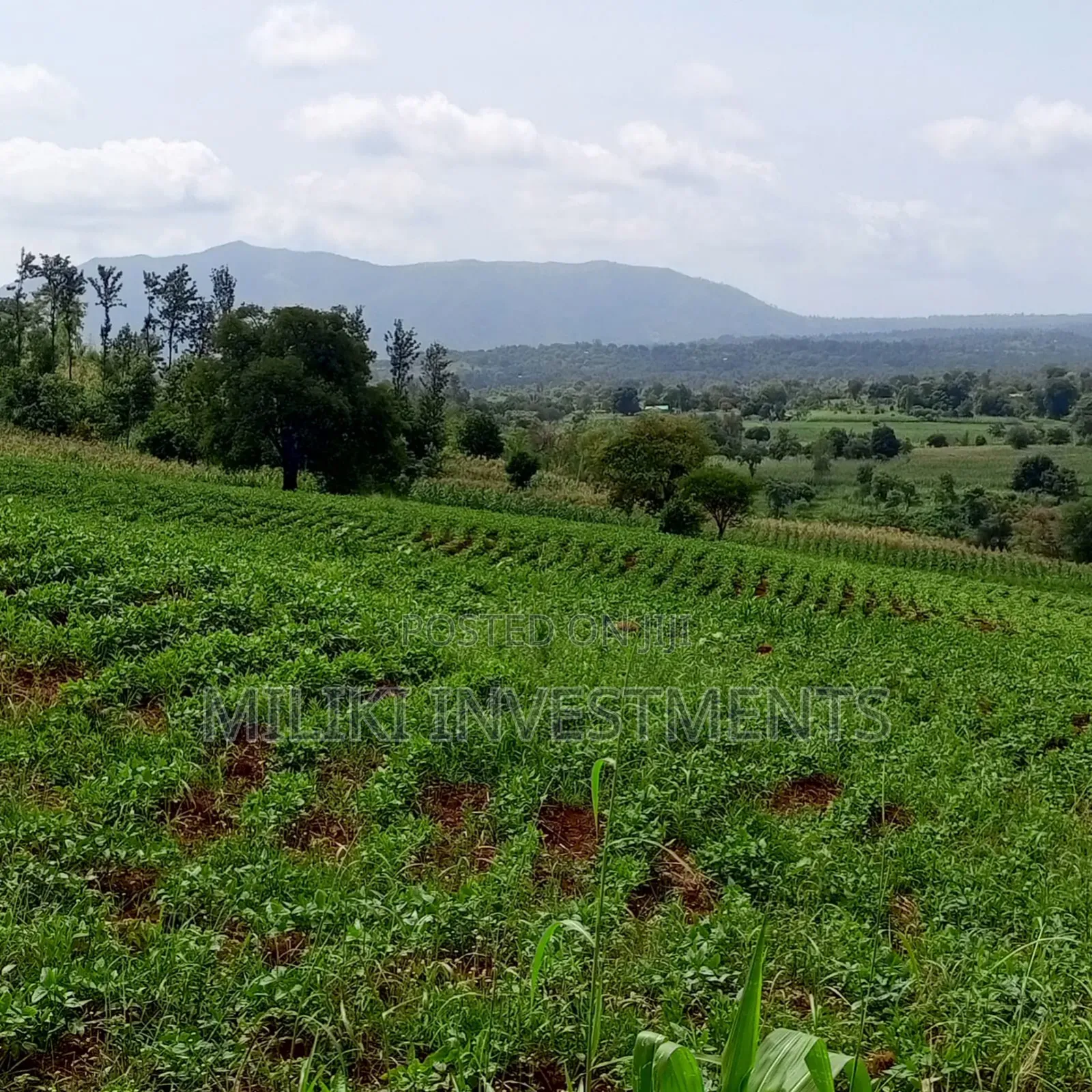 10 Acres for Sale at Meru-Nkubu-Mitunguu