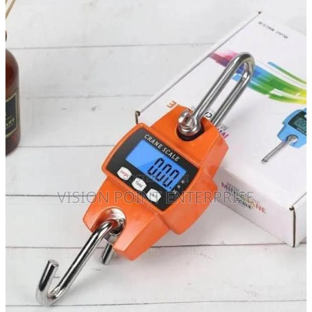 Mini Crane Scale 300kgs - main view