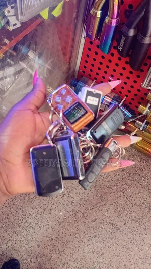 Universal Car Spare Keys