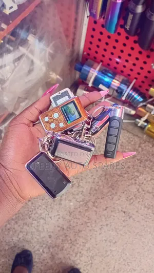 Universal Car Spare Keys