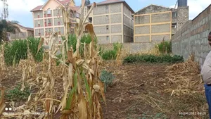 Very Prime 1⁄4ac Plot Opposite the Gate of Ngong Racecourse.