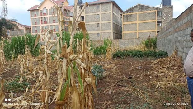 Very Prime 1⁄4ac Plot Opposite the Gate of Ngong Racecourse. - thumbnail 3