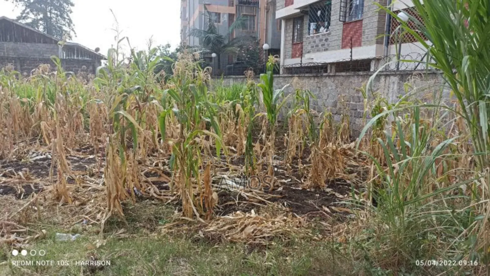 Very Prime 1⁄4ac Plot Opposite the Gate of Ngong Racecourse.