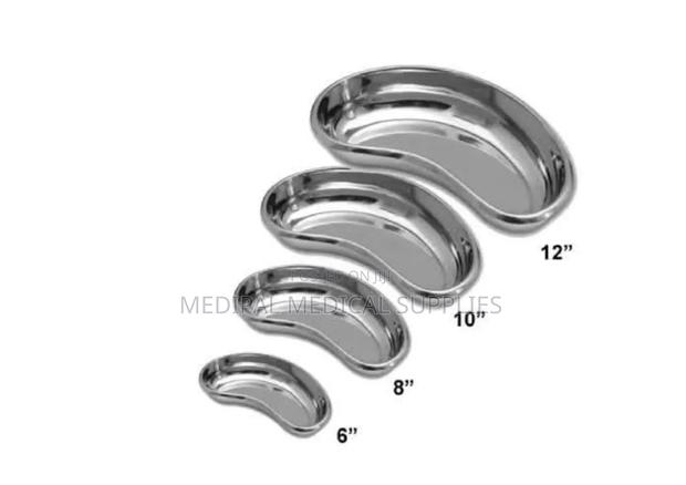 Kidney Dish - main view