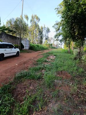 60by130 Plot for Sale in Ciumbu Makuyu - thumbnail 2