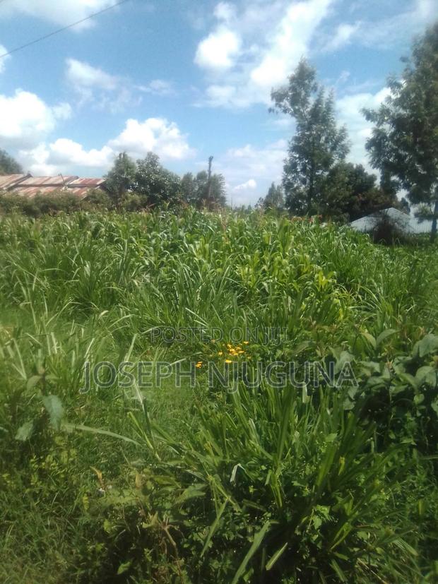 Limuru Karanjee Plot